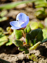 Similar image 21851053