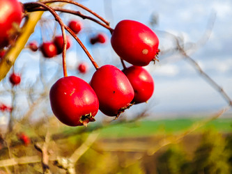 Similar image 21851054