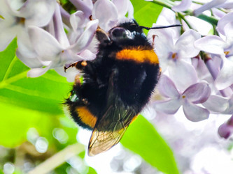 Similar image 21851056