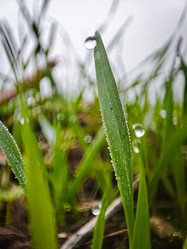 Similar image 21851057