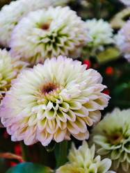 Similar image 21851058