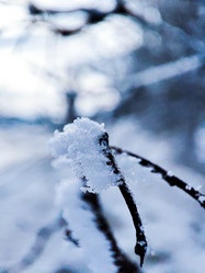 Similar image 21851059