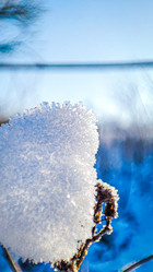 Similar image 21851061