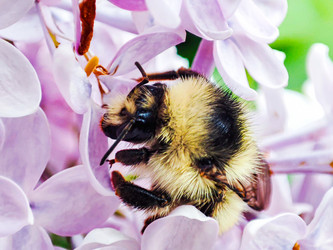 Similar image 21851062