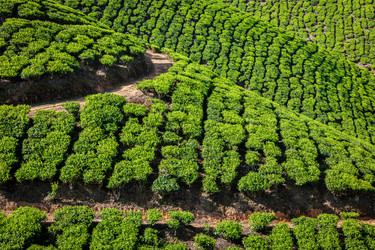 Similar image 21852936