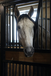 Similar image 21851064