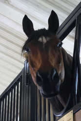 Similar image 21851069