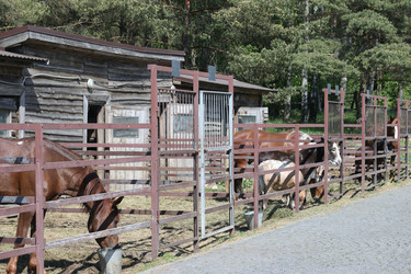 Similar image 21851070