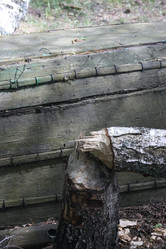 Similar image 21851072