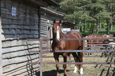 Similar image 21853675