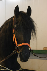 Similar image 21851075