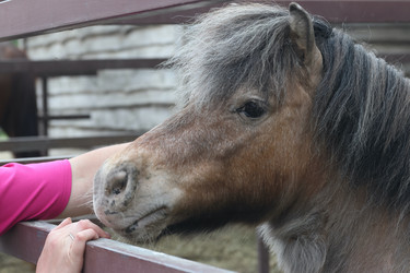 Similar image 21851080