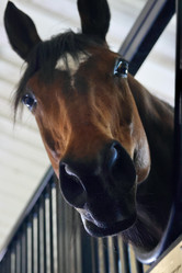 Similar image 21851087