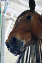 Similar image 21851089