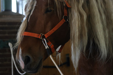 Similar image 21851091