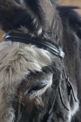 Similar image 21851092