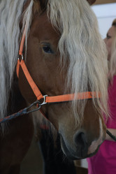 Similar image 21851093