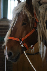 Similar image 21851094