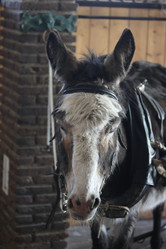 Similar image 21851095