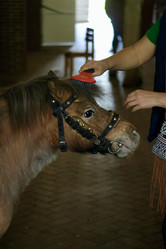 Similar image 21851097