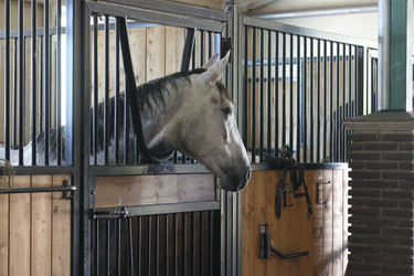 Similar image 21851100