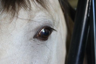 Similar image 21851101