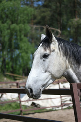 Similar image 21851103