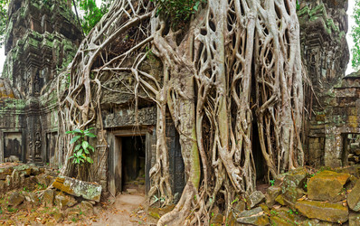 Similar image 21851592