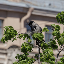 Similar image 21856041