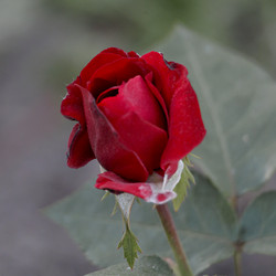 Similar image 21853731