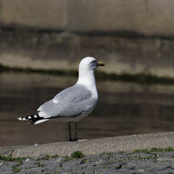 Similar image 21856046