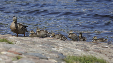 Similar image 21853738