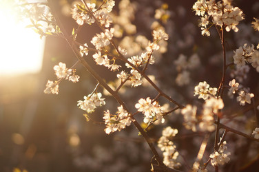 Similar image 21850722