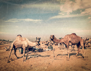 Similar image 21851312