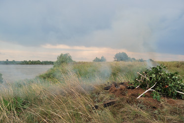 Similar image 21850723