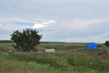 Similar image 21850729