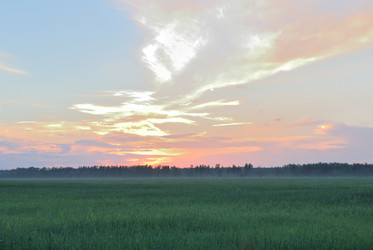 Similar image 21850733