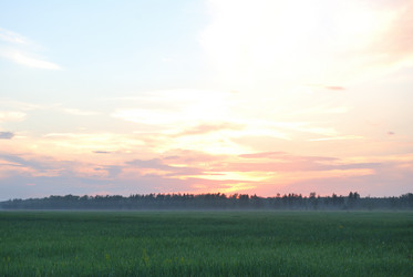 Similar image 21850734