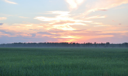 Similar image 21850736