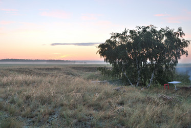 Similar image 21850750