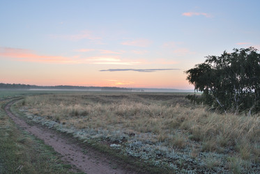 Similar image 21850754