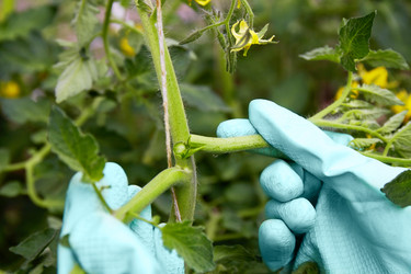 Similar image 21850763