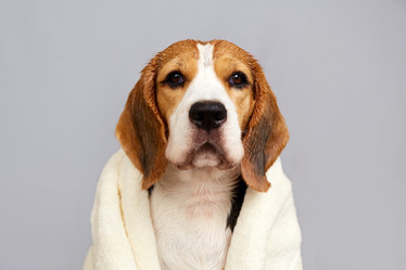 Similar image 21850766