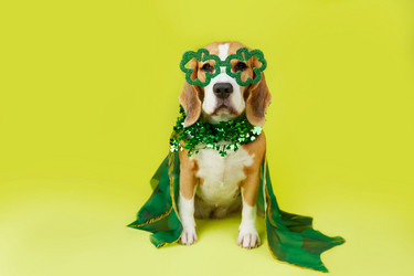 Similar image 21850768