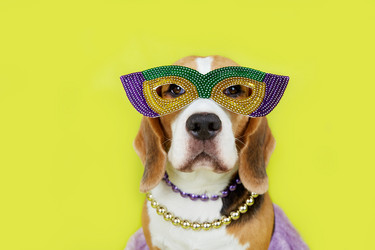 Similar image 21850769