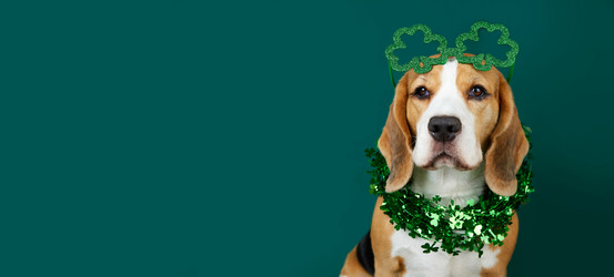 Similar image 21850770