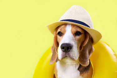 Similar image 21850772