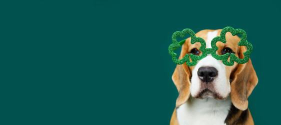 Similar image 21850777