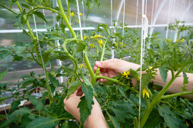 Similar image 21851115