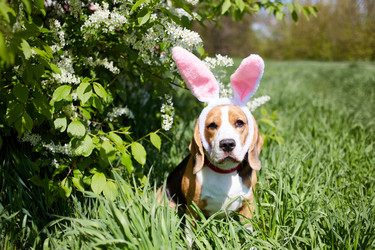 Similar image 21851126